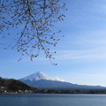 河口湖からみた富士山