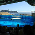 新江ノ島水族館