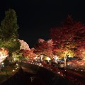 2015河口湖　紅葉祭り