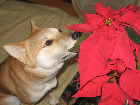 img 576