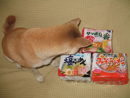 img 058
