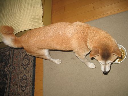 img 076