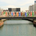 Photos: 南海堺駅前 土居川の鯉のぼり