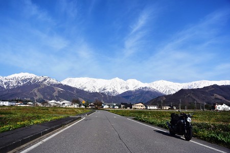 DSC_8401-1