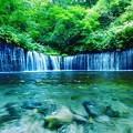 Photos: 白糸の滝