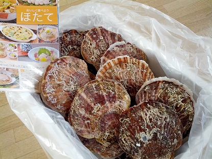 寿都産ホタテ貝