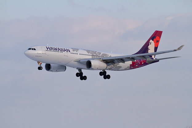 A330 Hawaiian Airlines New Livery N361HA (1)