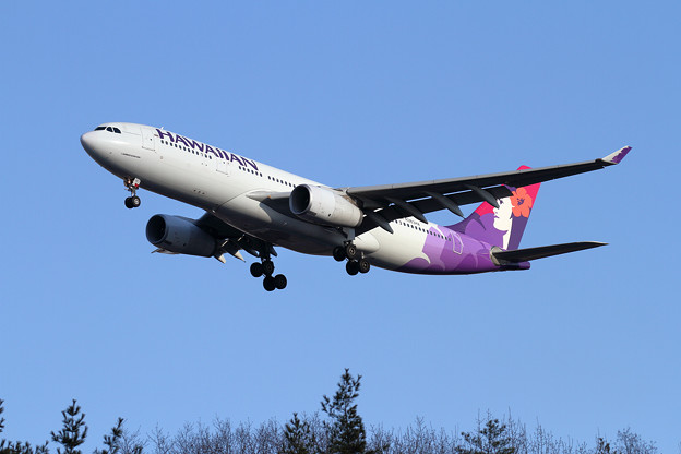 A330 HAL N383HA approach