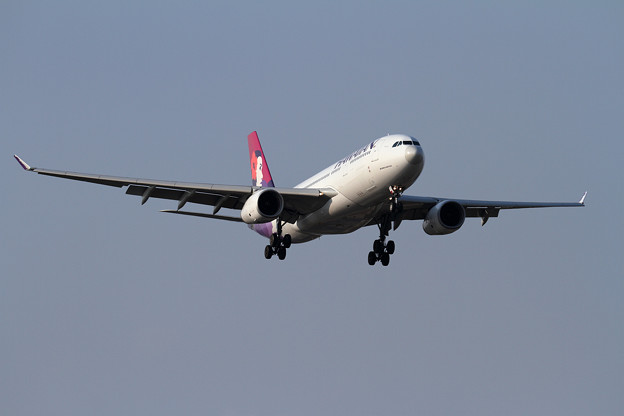 A330 HAL N375HA approach