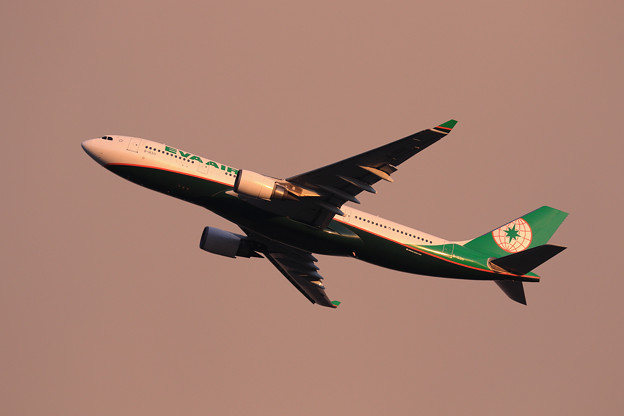 A330 EVA 夕暮れ空に