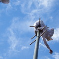 撒きもの