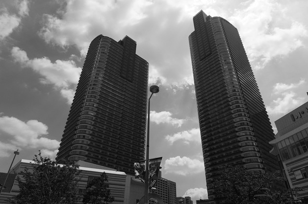 DSC00634 (1)