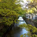 DSCF6467