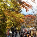 八瀬の紅葉（２）