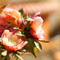 Photos: DSC00044