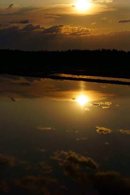 DSC02405