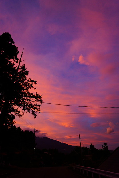 DSC08760