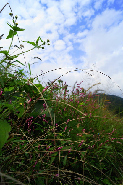 DSC01519