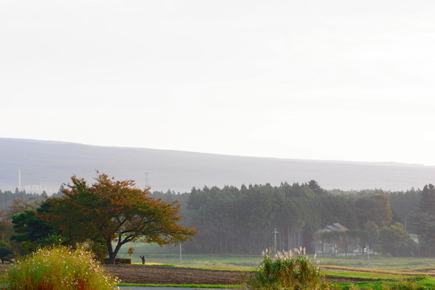 DSC02419