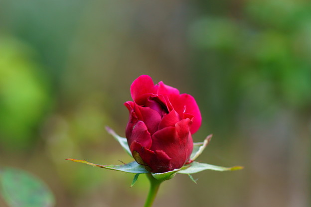 DSC01272