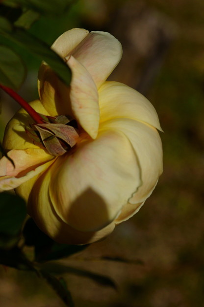 DSC01853
