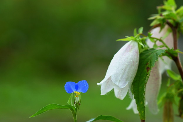 夏の終わり