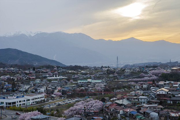 _MG_2524_R