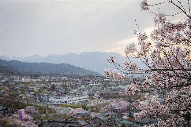 _MG_2519_R