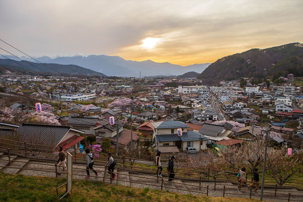_MG_2516_R