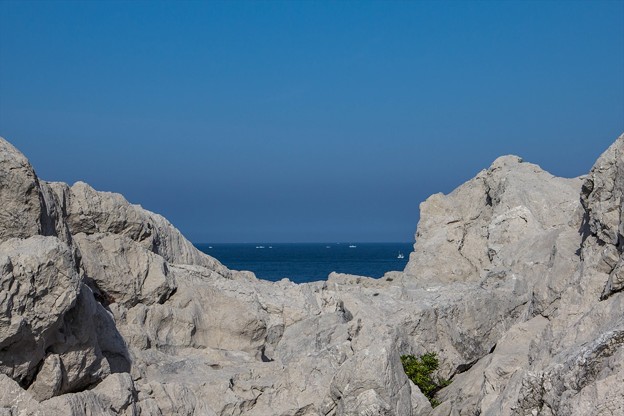 _MG_6513_R