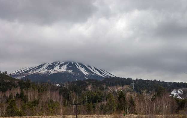 _MG_4004_R