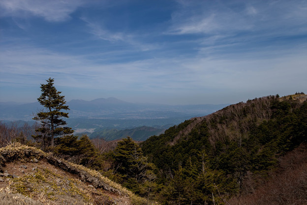 _MG_4187_R