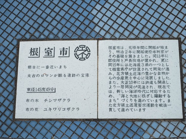 P5153490