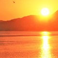 燧灘の静かな海と一羽のカモメ＠二月の夕陽