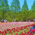 Photos: GW最後の土曜日＠初夏の世羅高原農場