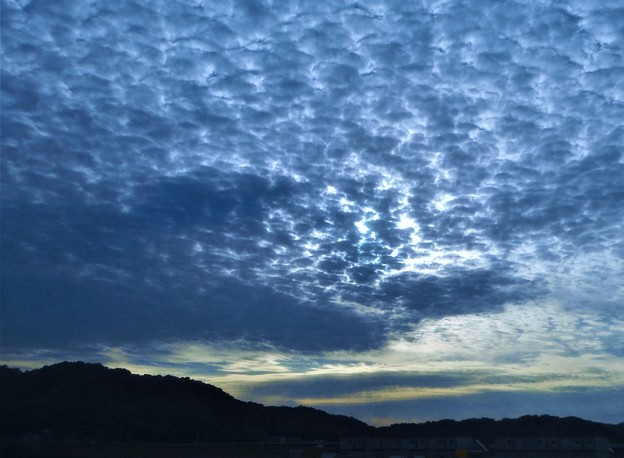 ばら祭の日の夕空に現れたｳﾛｺ雲＠芦田川東岸（臨時駐車場）