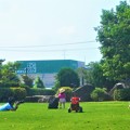Photos: とても楽しい日曜日＠夏至の三日後の公園＠梅雨の晴れ間