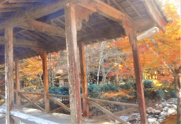 佛通寺の紅葉＠巨蟒橋(きょもうきょう)からの眺め