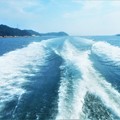 Photos: 水平線の彼方から＠夏の船旅＠瀬戸内海・燧灘