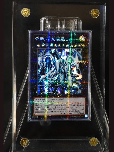 青眼の究极竜 ex【超クオリティ】d 青眼の白龙 シクブル 游戯王 オリ