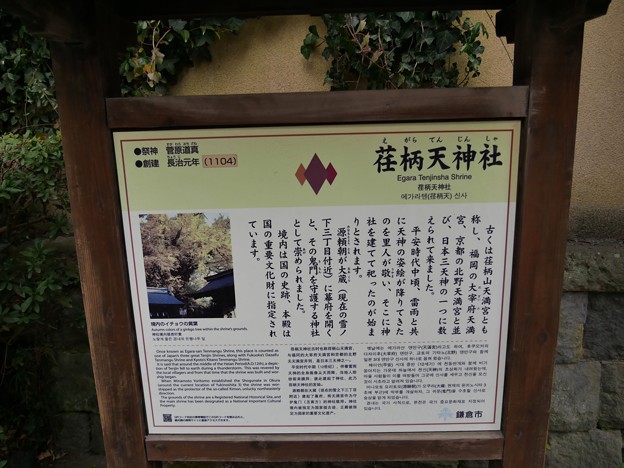 写真: 11