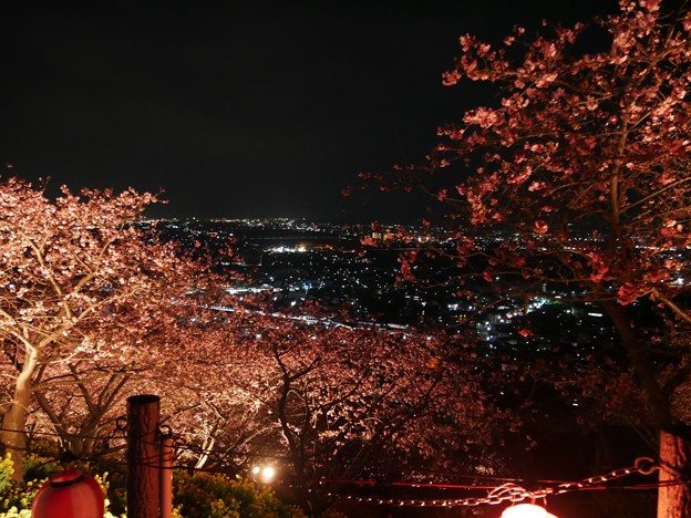 写真: 16