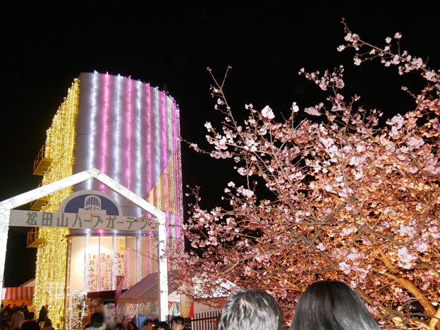 写真: 19