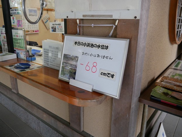 写真: 7