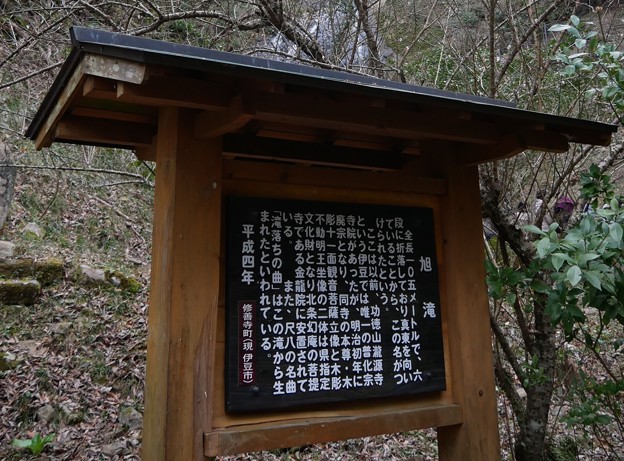 写真: 10