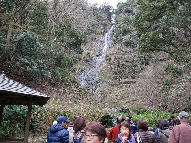 写真: 11