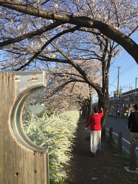 写真: 10