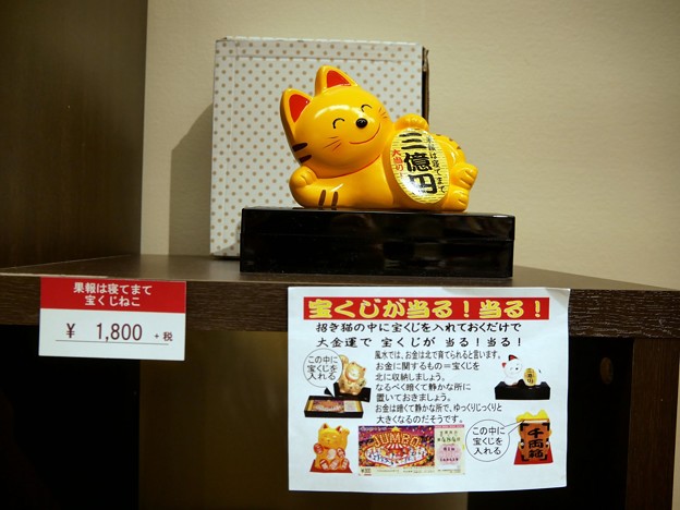 写真: 30