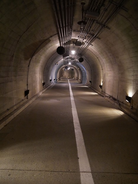 写真: 3朝早く、近くの袋田の滝に行ってみました。