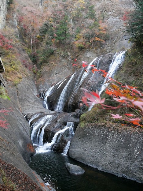写真: 7紅葉越しの袋田の滝